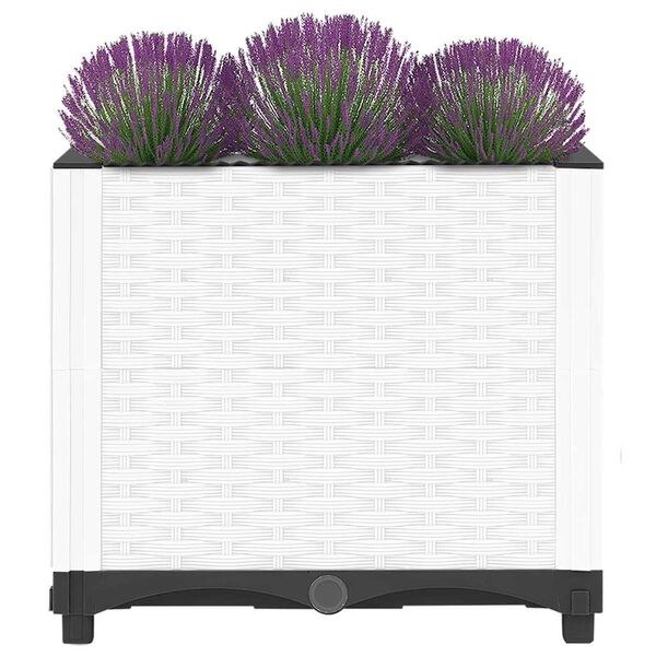 Kuvatakse tootepilt 3 / 8