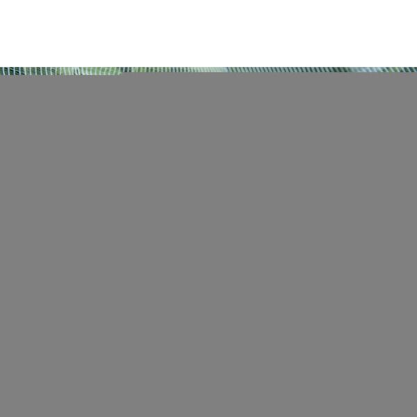 Nature putukavõrk õunamähkurite vastu