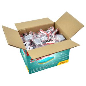 vidaXL pesumasina pesutabletid 100 tk, ennetab katlakivi ja mustust