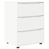 vidaXL Hoiukapp 60 x 48 x 81 cm Tehispuit Valge