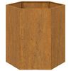vidaXL taimekast, rooste, 40x40x45 cm, Corten teras