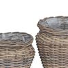 vidaXL Istutuskorv ladustamisega 2 pcs Hall Lacak Rattan