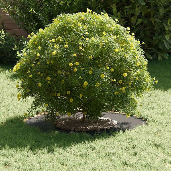 vidaXL sobiv lame puu rõngale Must Ø30 / 60 cm Teras