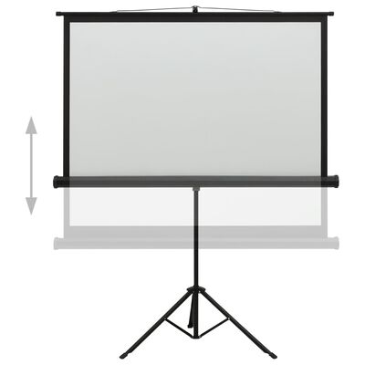vidaXL projektori ekraan alusega, 60" 1:1