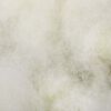 Toote pisipilt  10 / 12