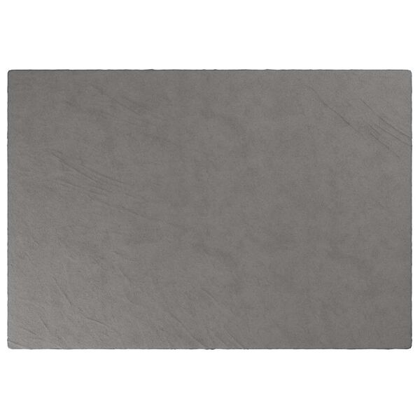 vidaXL raskustekk kattega, hall, 138x200 cm, 6 kg, kangas