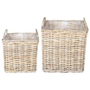 vidaXL Potitaimede korv ladustamisega 2 tk Looduslik hall Kubu rattan