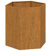 vidaXL taimekast, rooste, 40x40x45 cm, Corten teras