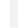 vidaXL TV Seina Kapp Valge 30 x 31 x 100 cm Tehispuit