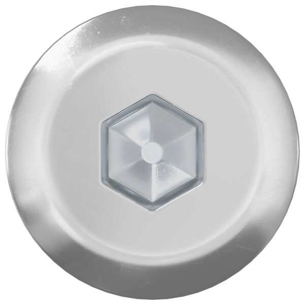 vidaXL M&ouml;&ouml;blikruvid 800 pcs H&otilde;bedane Teras