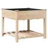 vidaXL Aia istutuspot riiuliga Beež 90 x 90 x 76,5 cm Tugev kuusepuit
