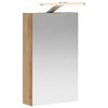 vidaXL Vannitoa peeglikapp Artisani tamme 30 x 10,5 x 50 cm Tehispuit