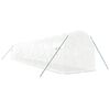 vidaXL kasvuhoone terasraamiga, valge, 24 m&sup2;, 12x2x2 m