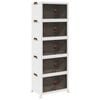 vidaXL virnastatav ratastega hoiukast 5-tasandiline 75 L 64x40x179 cm