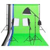 vidaXL fotostuudio valgustuskomplekt taustapiltide ja reflektoriga