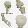 vidaXL Halloweeni Skeleton Valge 155 x 38.5 cm Plastmass