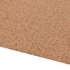vidaXL Kork rull Pruun 100 x 200 x 0,2 cm Kork