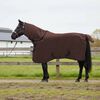 Toote pisipilt  2 / 10