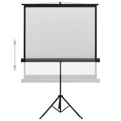 vidaXL projektori ekraan alusega, 48" 1:1
