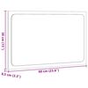 vidaXL vannitoapeegel LED valgusega k&auml;sit&ouml;&ouml;tamm 60x8,5x38 cm