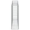 vidaXL kaarekujulised gabioonkorvid 40 tk, 200x30x100/120 cm, raud
