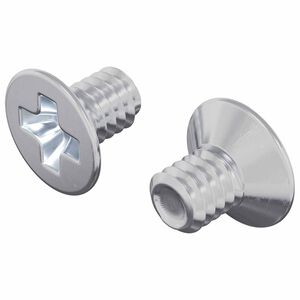 vidaXL S&uuml;vistatud peaga kruvid 2 pcs H&otilde;bedane M4 x 6 mm Teras