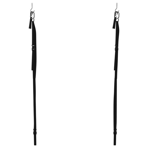 vidaXL kahe kajaki hoiustamisrihmad koos aeruklambritega, 50 kg