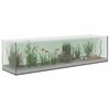 vidaXL Akvaarium ladustamisega L&auml;bipaistev 80 x 20 x 20 cm Klaas