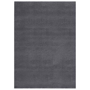 vidaXL pestav pehme vaip, 160x230 cm, libisemiskindel, antratsiit