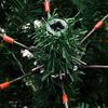 Toote pisipilt  17 / 21