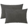 vidaXL Diivanipadi 2 pcs HEERLEN Tumehall 30 x 50 cm Samet