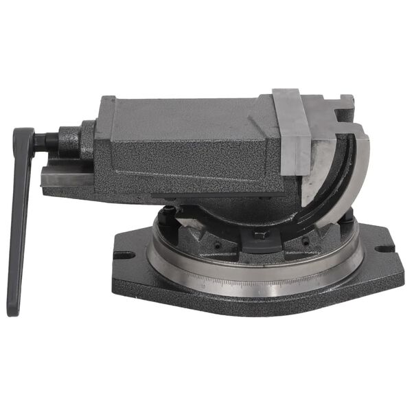 vidaXL kaheteljelised kallutatavad kruustangid, 160 mm