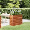vidaXL taimekast, rooste, 100x40x77 cm, Corten-teras