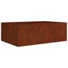 vidaXL taimekast, 120 x 80 x 40 cm, Corten-teras