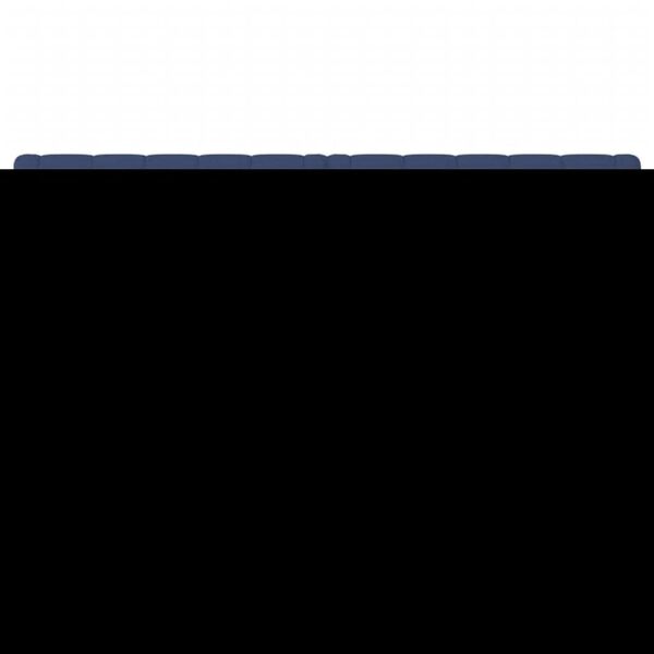 vidaXL voodipeatsid 2 tk, sinine, 80x7x78/88 cm, kangas