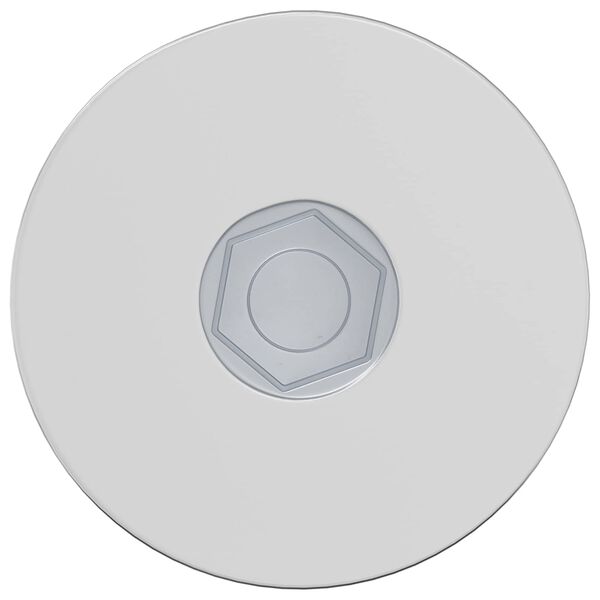 vidaXL Kinnitus 5143 pcs Tsinkkattega 5 x 40 mm Raud