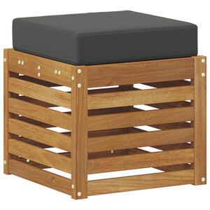 vidaXL Stoolben&scaron; padjaga 2 T&uuml;kk Looduslik ja antriit Tugev akatsiapuu