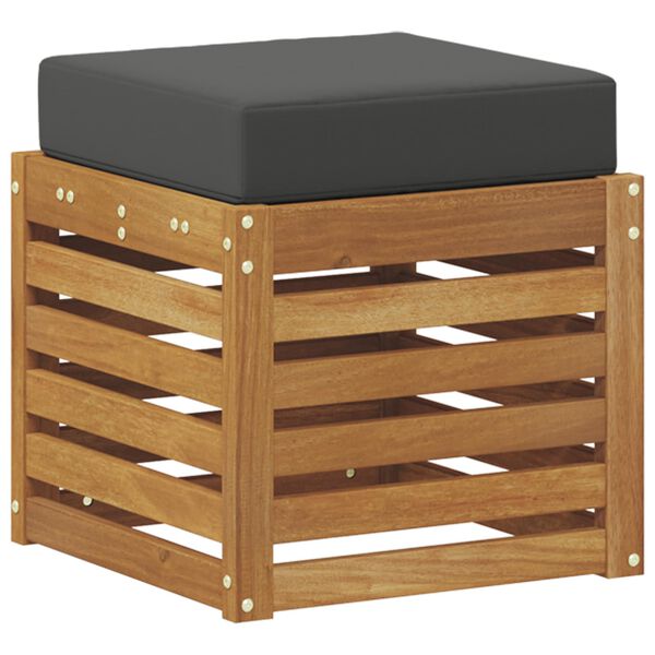 vidaXL Stoolben&scaron; padjaga 2 T&uuml;kk Looduslik ja antriit Tugev akatsiapuu