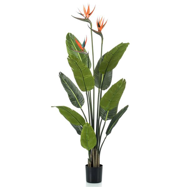 Emerald kunsttaim Strelitzia potis, lilledega, 120 cm