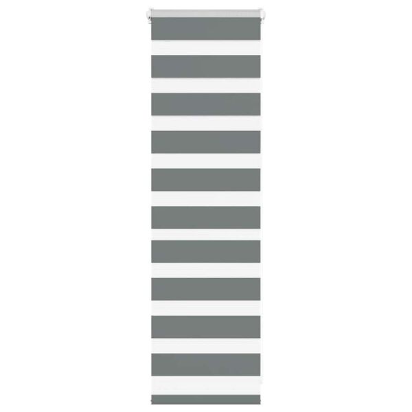 vidaXL Triibuline ruloo 50x100 cm kanga laius 45,9 cm pol&uuml;ester