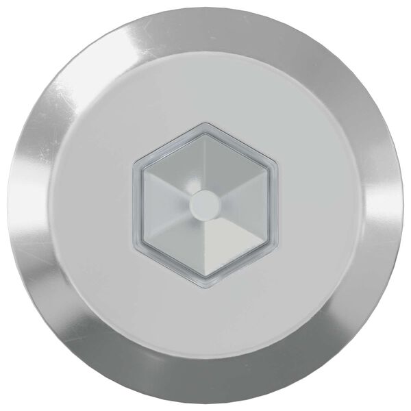 vidaXL M&ouml;&ouml;blikruvid 12 pcs H&otilde;bedane M6 x 70 mm Teras