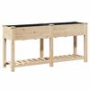 vidaXL Aia istutuspot riiuliga Beež 161 x 43 x 76,5 cm Tugev kuusepuit