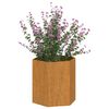vidaXL taimekast, rooste, 40x40x45 cm, Corten teras