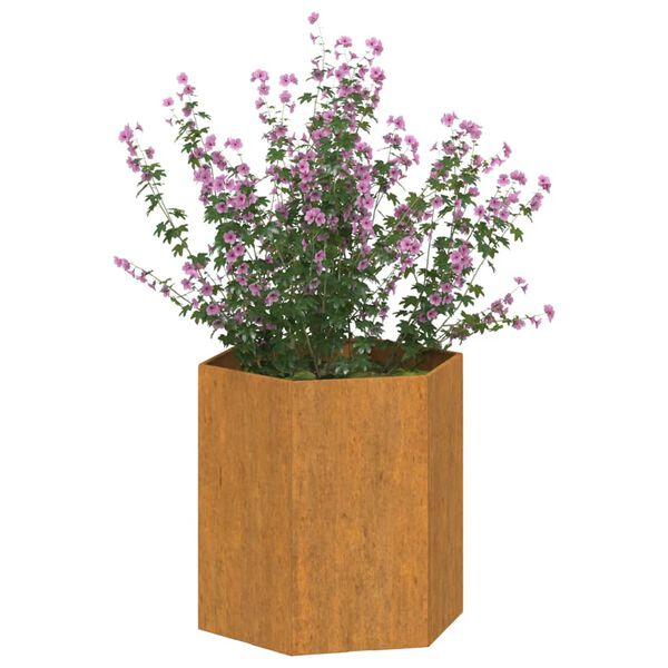 vidaXL taimekast, rooste, 40x40x45 cm, Corten teras