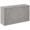 vidaXL kingakapp, betoonhall, 103 x 30 x 48 cm, tehispuit