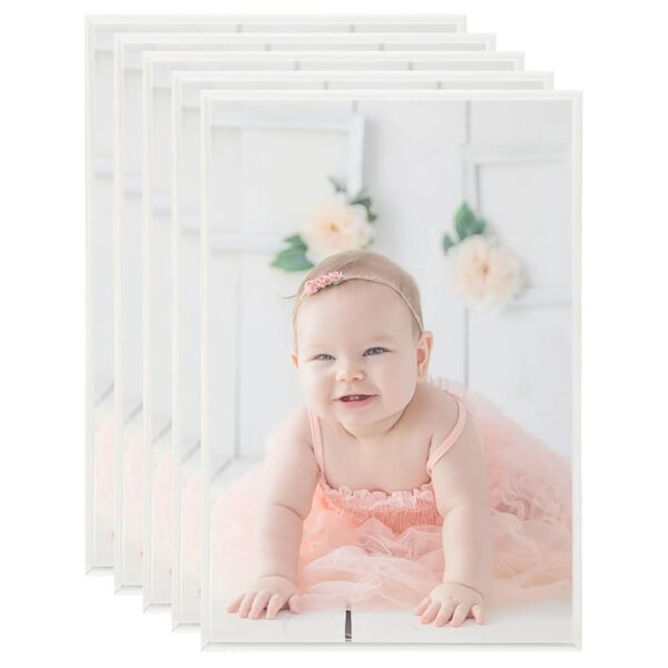 vidaXL fotoraami kollaaž 5 tk, lauale, hõbedane, 21x29,7 cm MDF