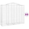 vidaXL kaarekujulised gabioonkorvid 9 tk, 200x50x160/180 cm, raud