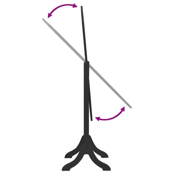 vidaXL eraldiseisev peegel, must, 45,5 x 47,5 x 160 cm, tehispuit