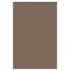 vidaXL pimendav ruloo coffee 165x230 cm kanga laius 161,6 cm pol&uuml;ester
