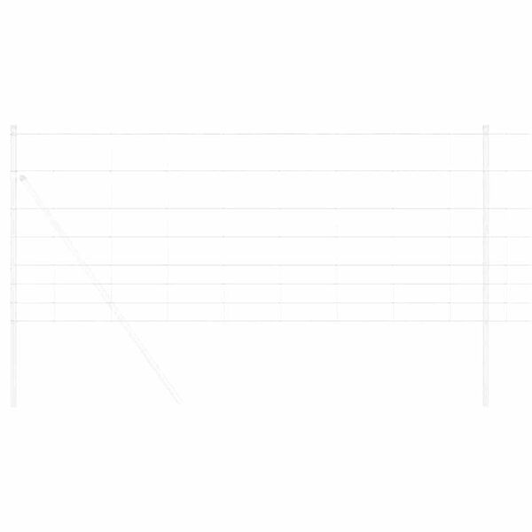 vidaXL Karjamaa-aed Hall 1 x 10 m Teras